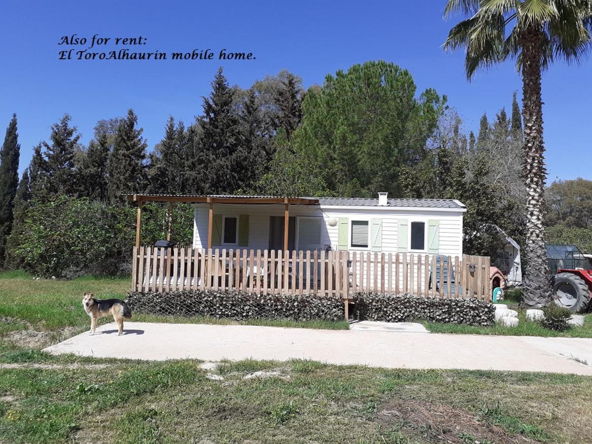 Appartement El Toro Alhaurin Alhaurin el Grande Bagian luar foto